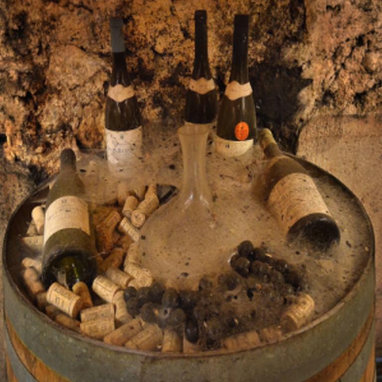 Chateau Rieutort Saint-Pargoire Eksteriør bilde